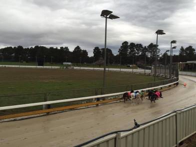 14808753_10154325772492599_2070112209_o